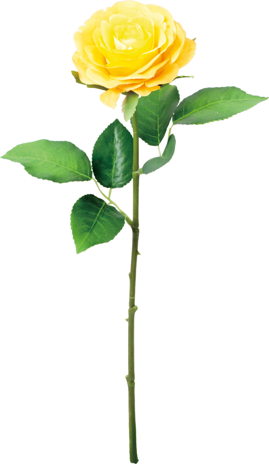 ���ި�۰��