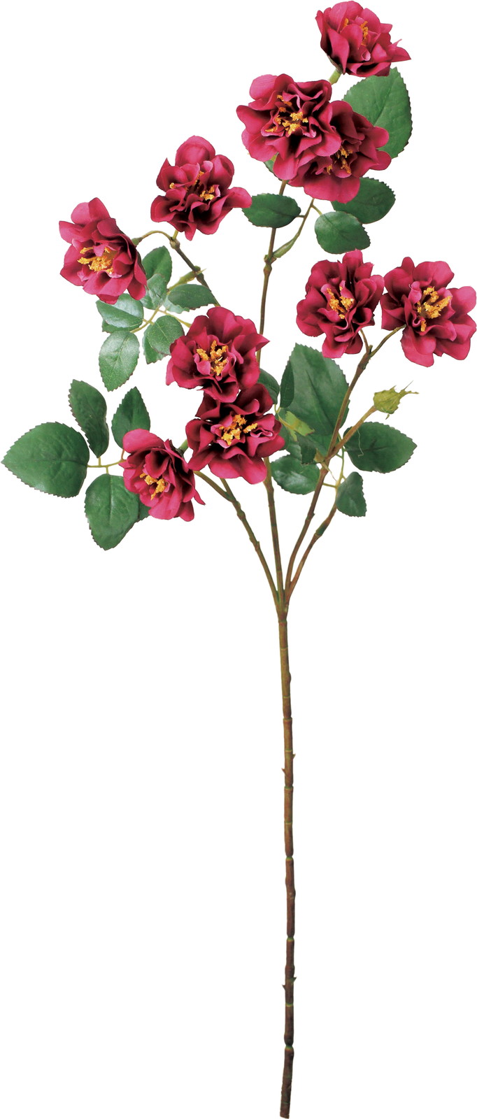 ミニガーデンローズスプレー