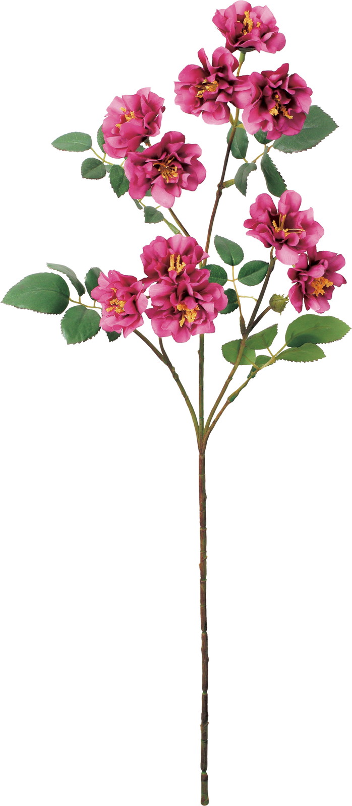 �ƶް���۰�޽��ڰ