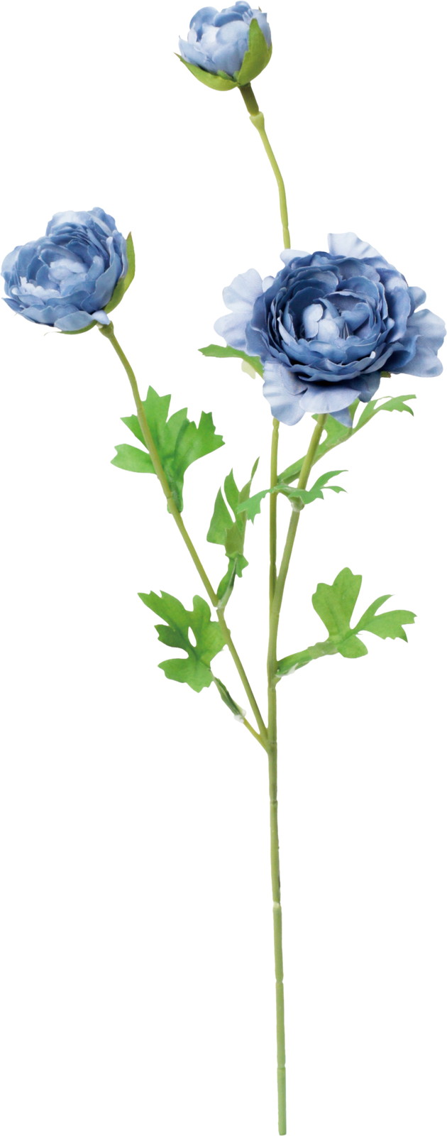 ��������ݷ�׽���ڰ