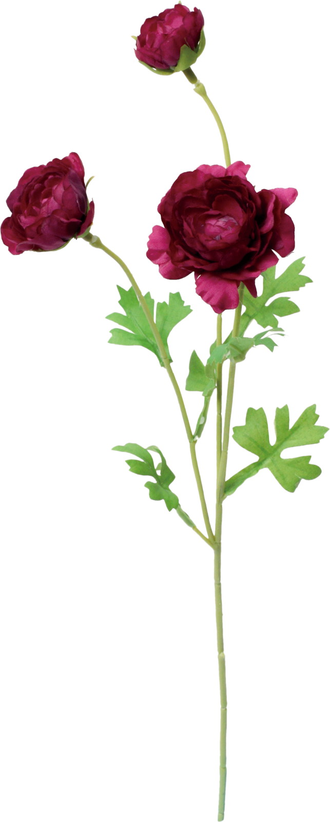 ��������ݷ�׽���ڰ