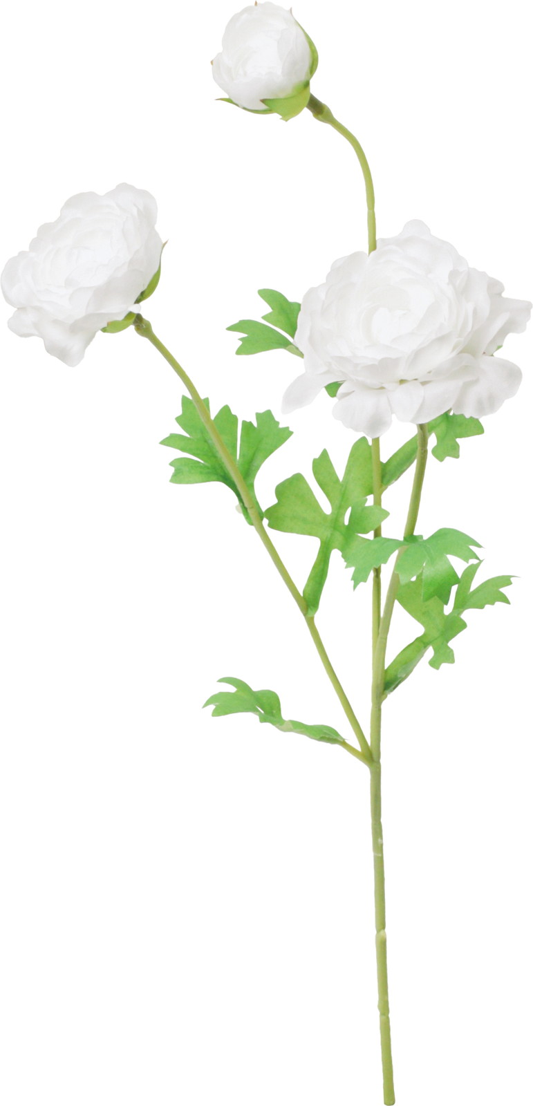 ��������ݷ�׽���ڰ