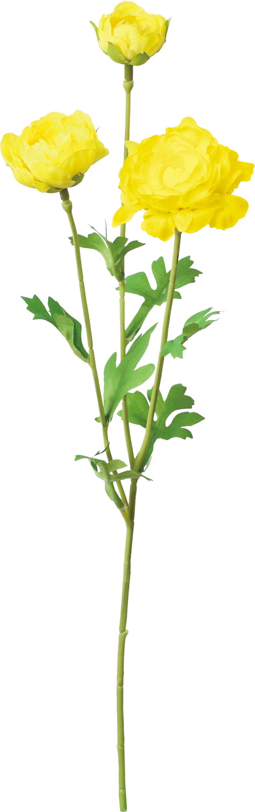 ��������ݷ�׽���ڰ