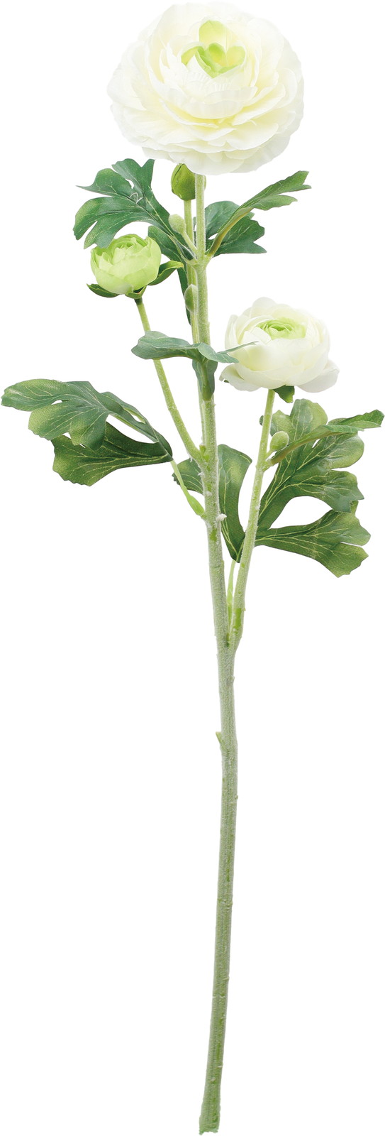 �����ݷ�׽���ڰ