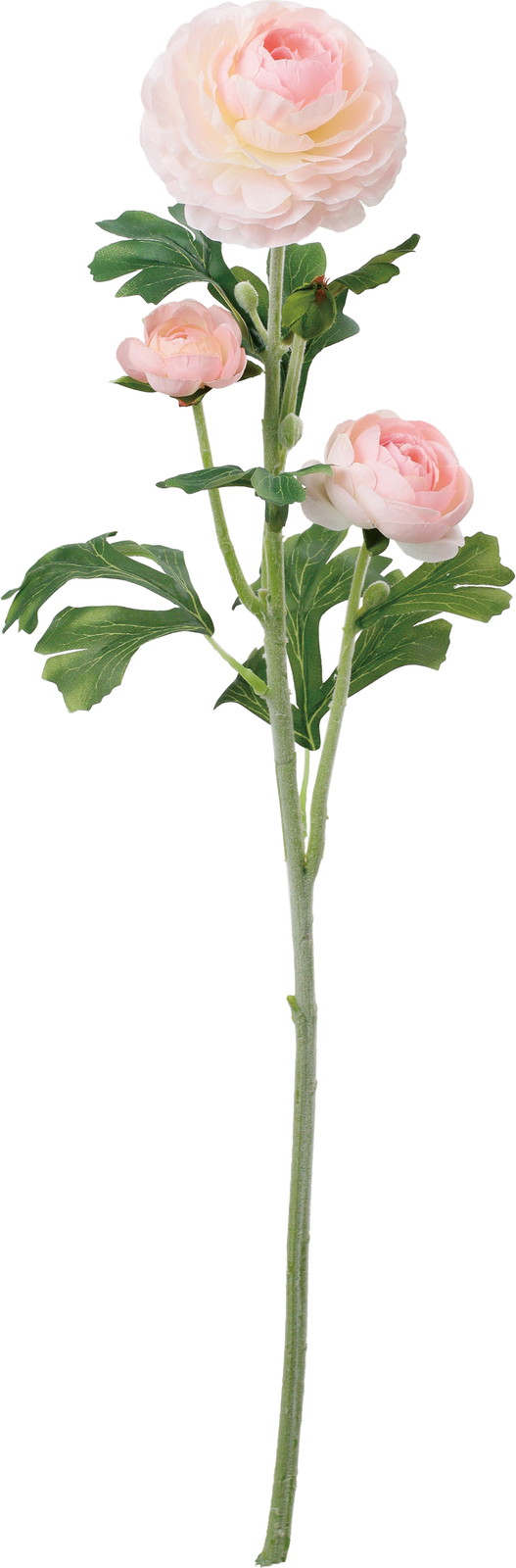 �����ݷ�׽���ڰ