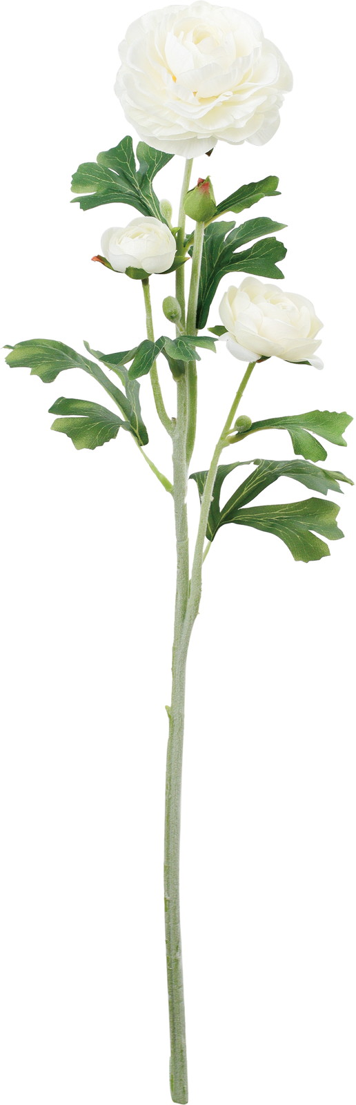 �����ݷ�׽���ڰ