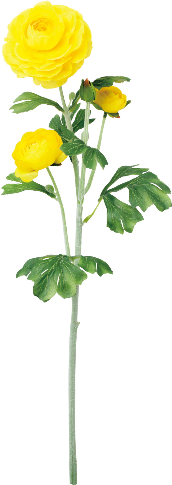 �����ݷ�׽���ڰ