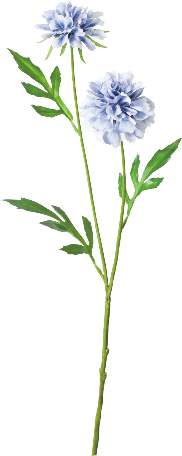 ����ݷ�׽���ڰ