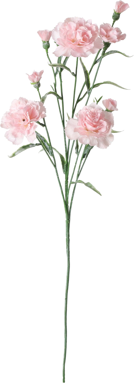 �ؼ���Ȱ��ݽ��ڰ