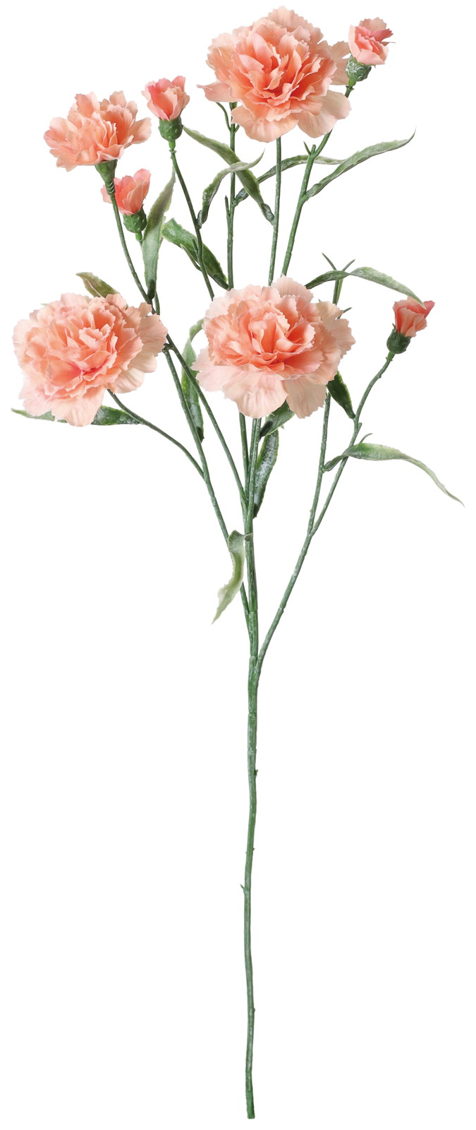 �ؼ���Ȱ��ݽ��ڰ