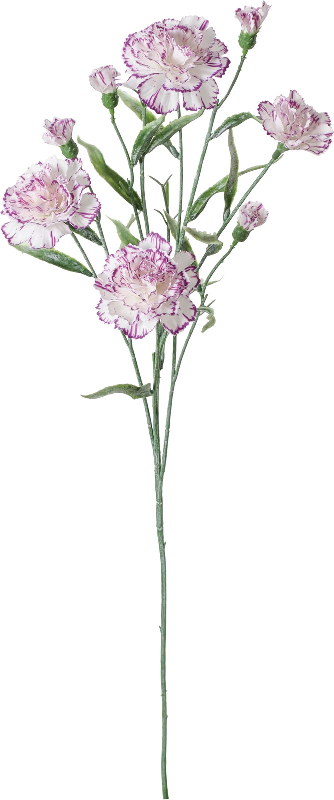 �ؼ���Ȱ��ݽ��ڰ