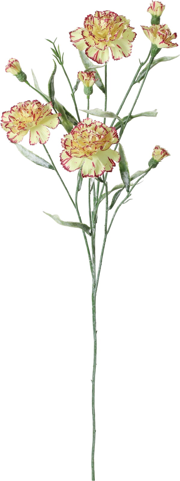 �ؼ���Ȱ��ݽ��ڰ