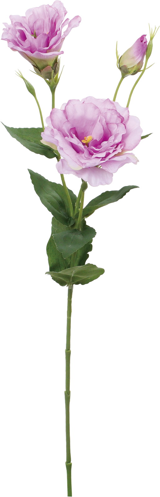 ����く680 ���ؼ�ݻ����ڰ