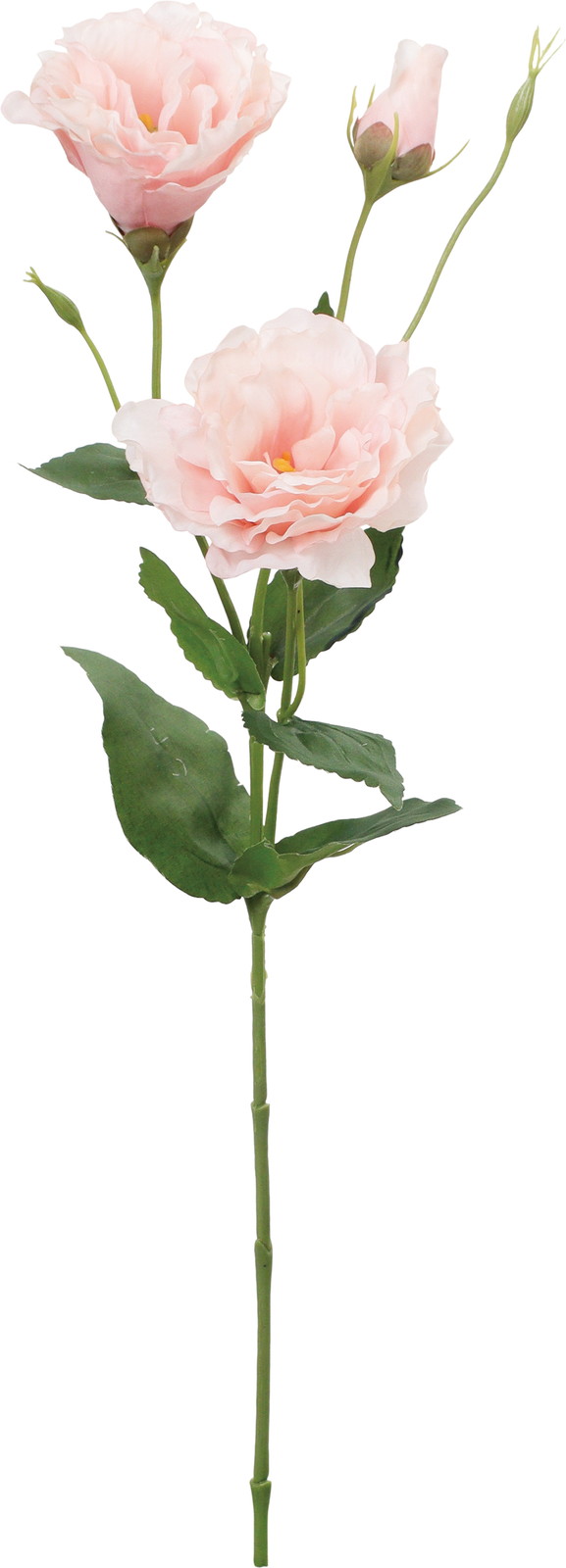 ����く680 ���ؼ�ݻ����ڰ