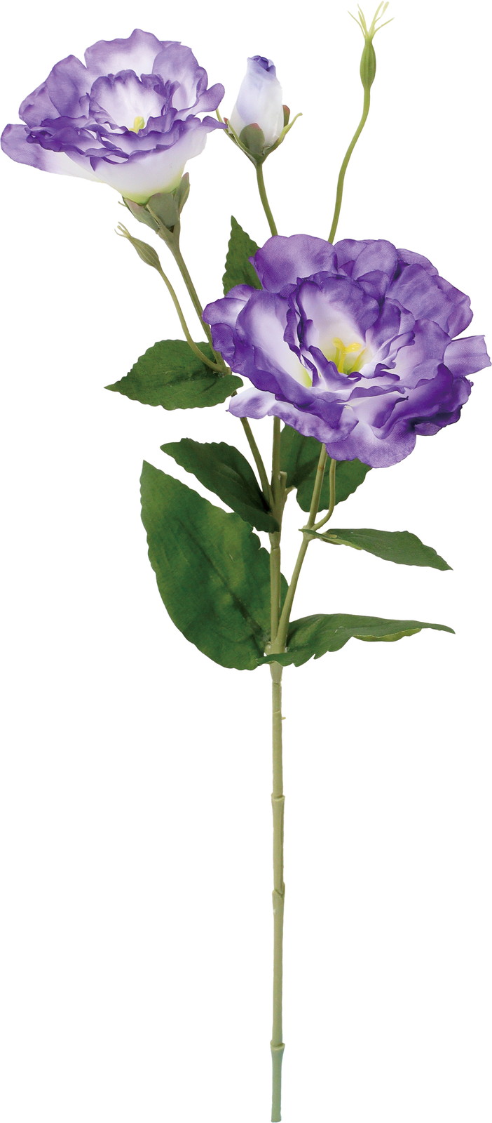 ����く680 ���ؼ�ݻ����ڰ