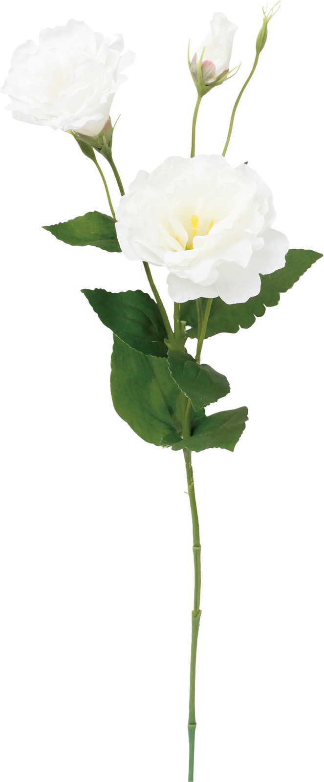 ����く680 ���ؼ�ݻ����ڰ