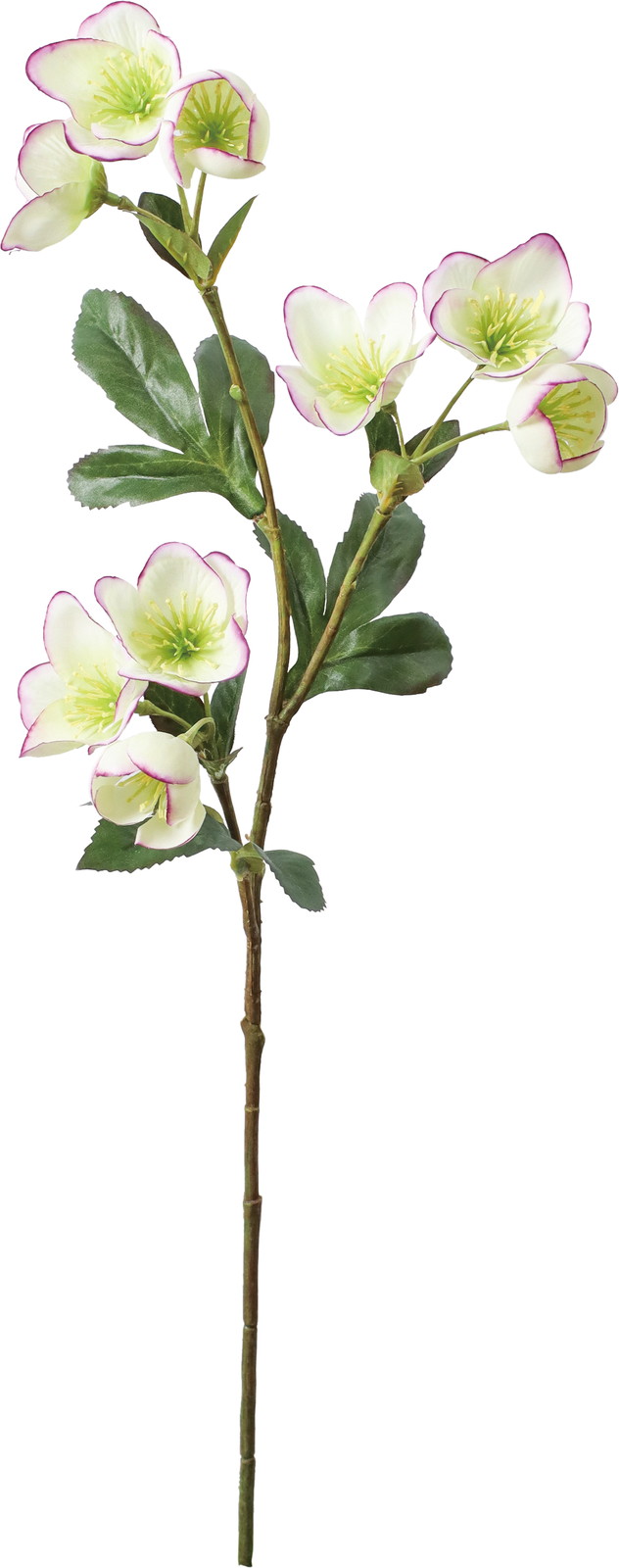 �ƸؽϽ۰�޽��ڰ