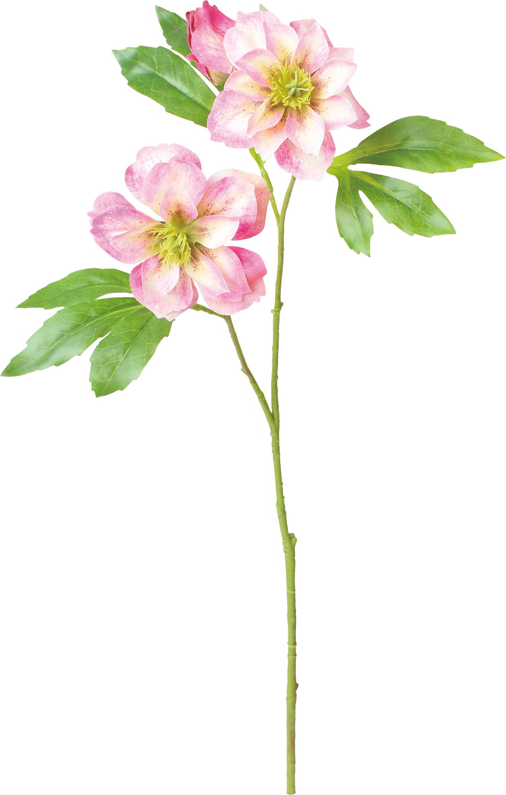 �߰è���ڽ�ؽϽ۰��