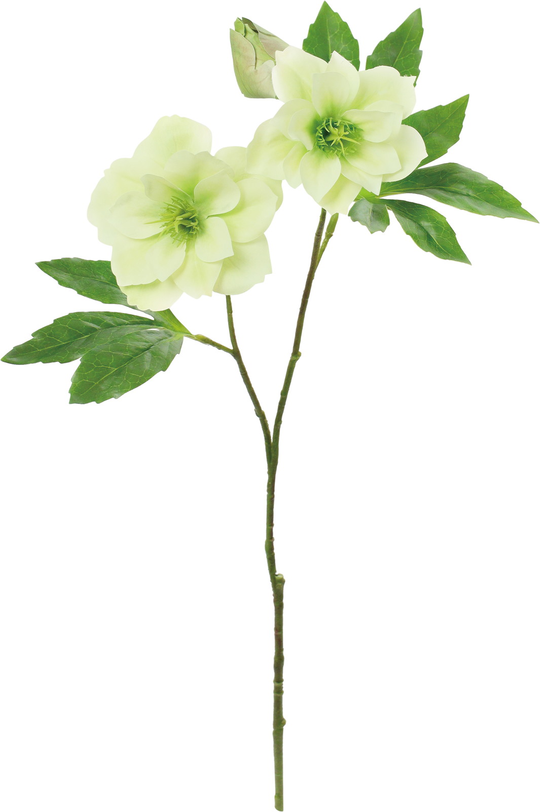 �߰è���ڽ�ؽϽ۰��