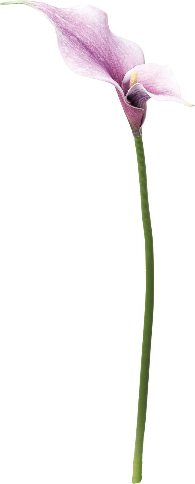 ����く480 �����̪���װ�ذ