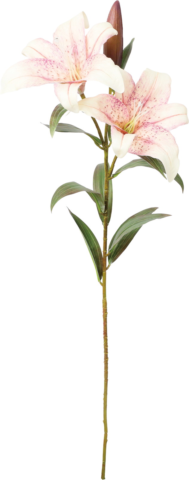 ����ذ���ڰ