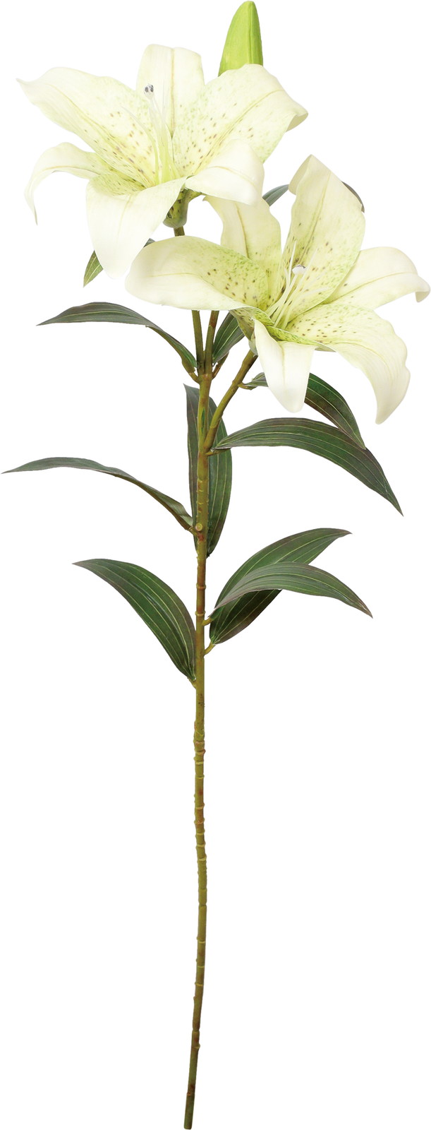 ����ذ���ڰ