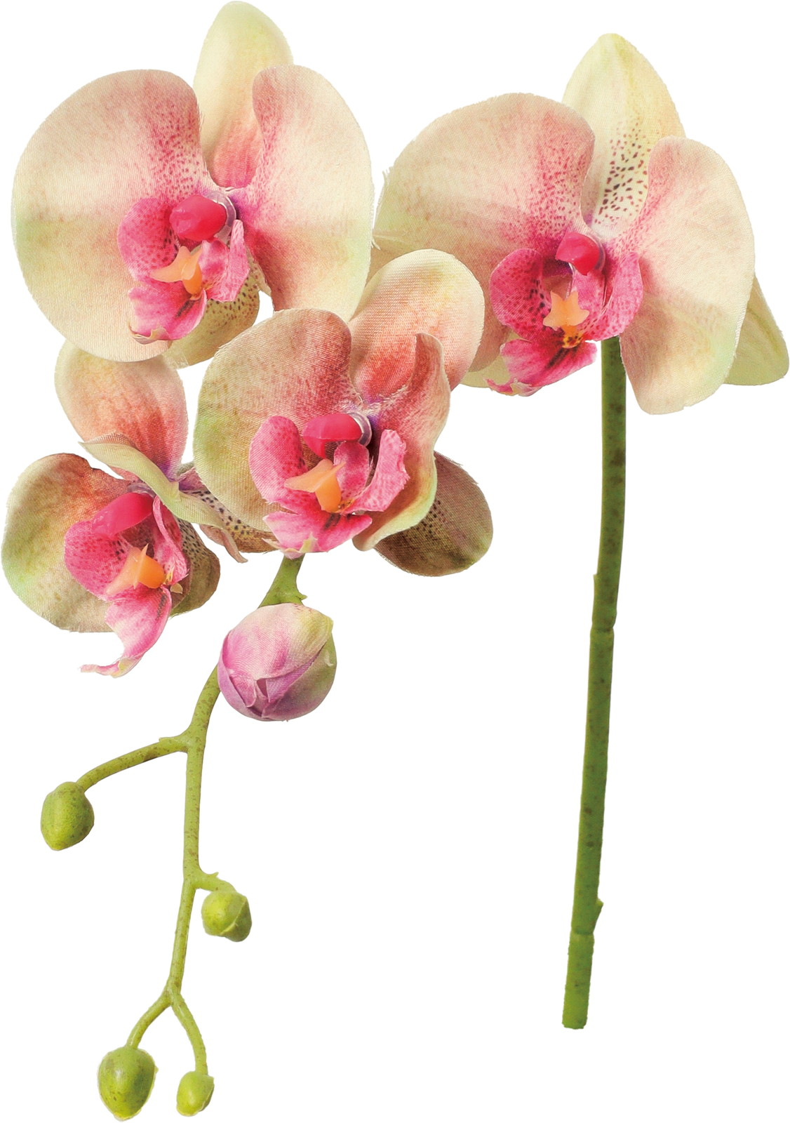 ڱ�ź�����