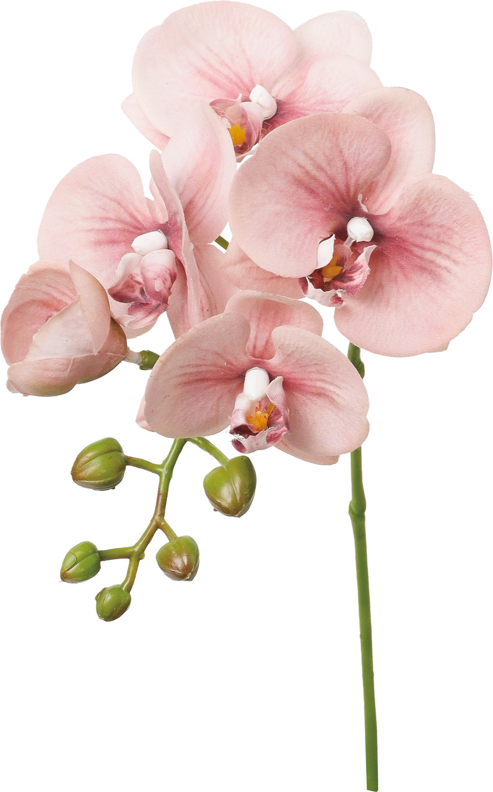 �ذ������