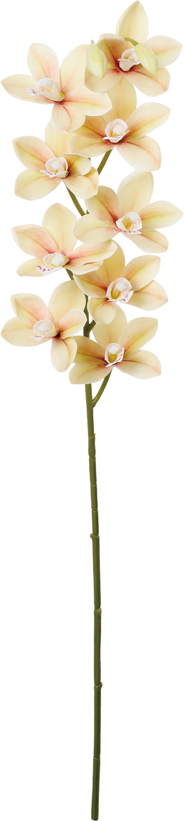 ����く780 ��ڼ�����޼ޭ��