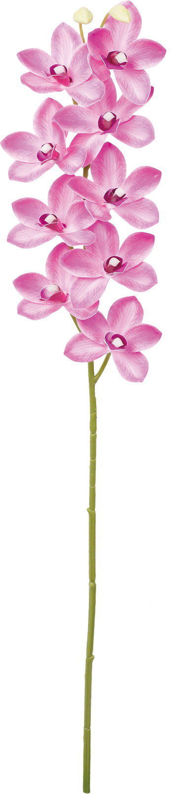 ����く780 ��ڼ�����޼ޭ��