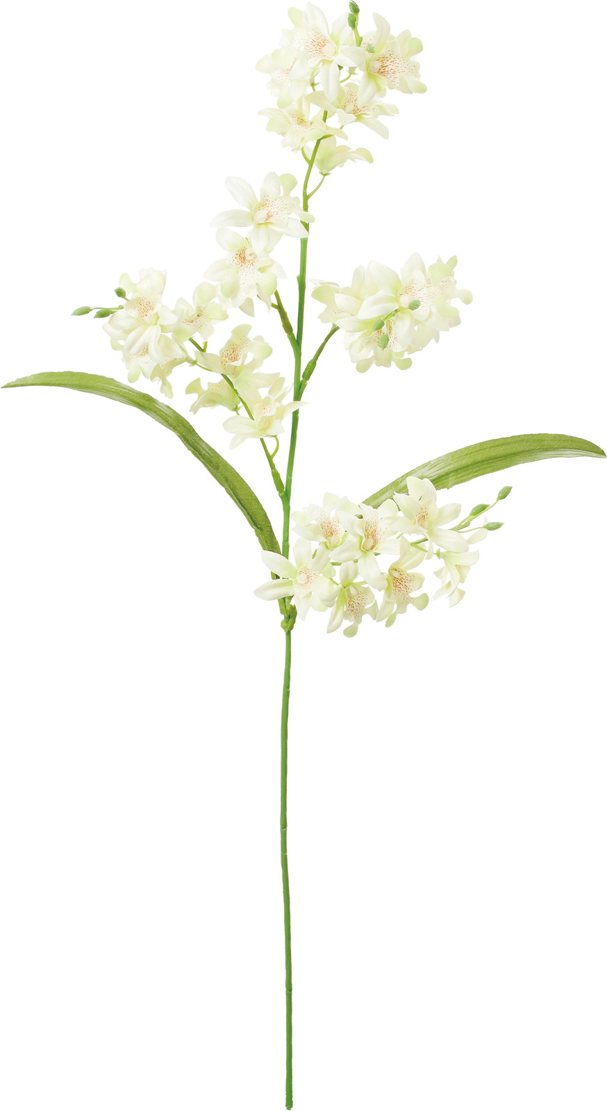 �Ƽ��޼ޭ�ѽ��ڰ