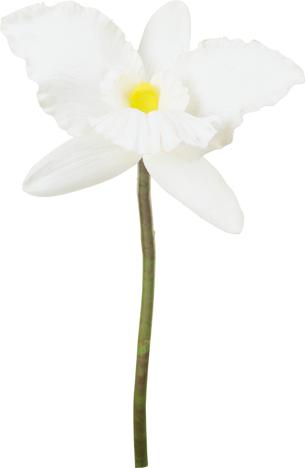 ��ڱ����