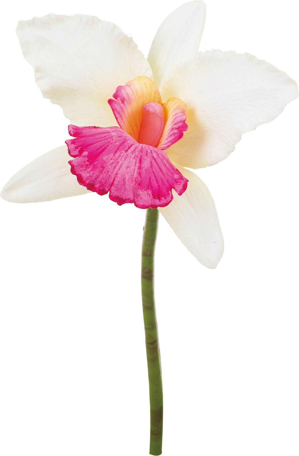 ��ڱ����