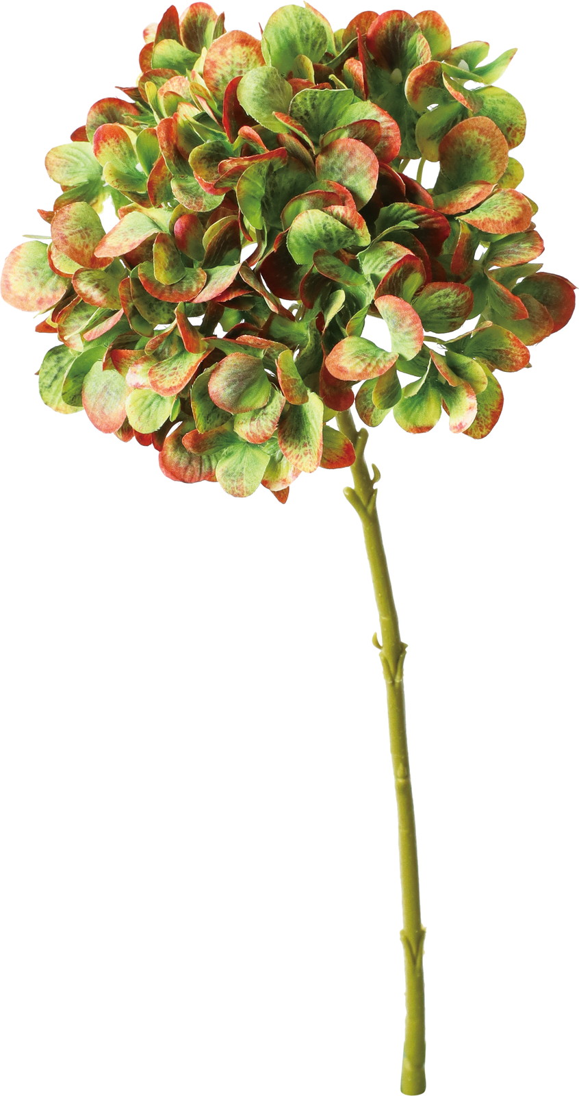 ϼ޶�ʲ���ݼޱ