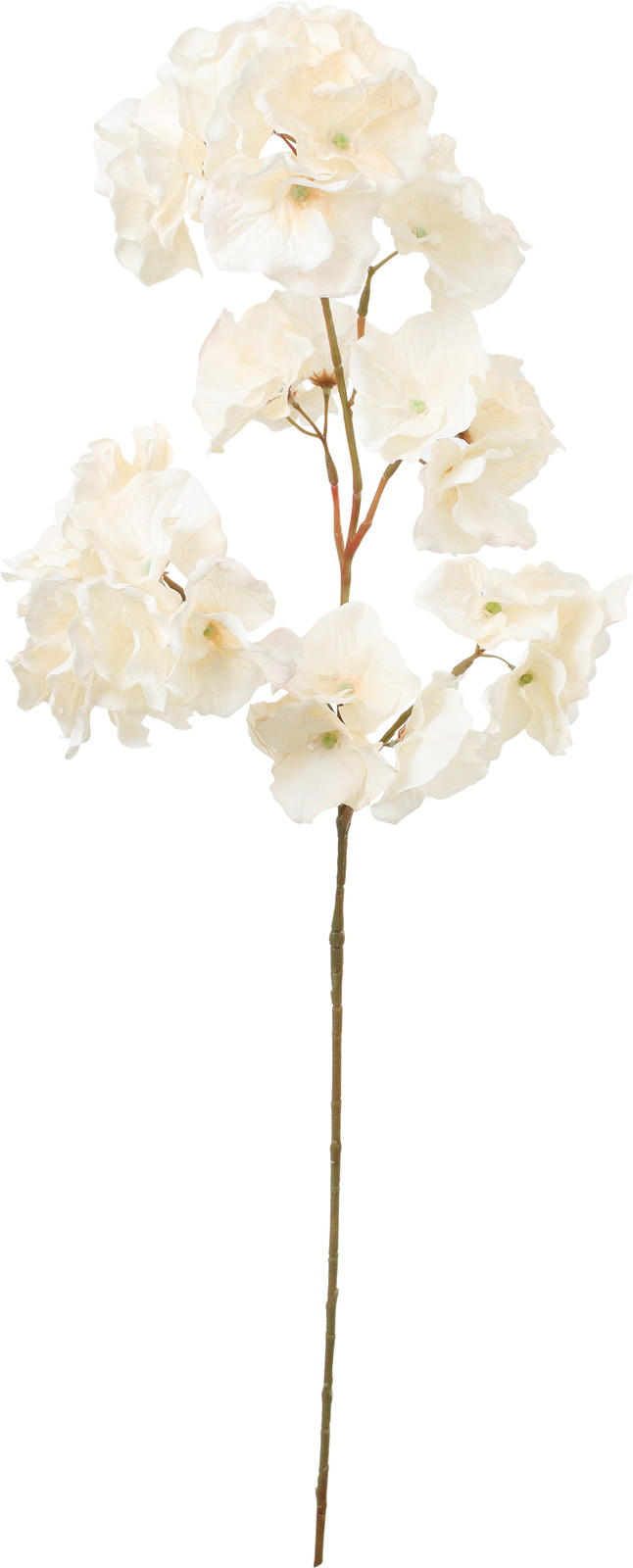 ����ٰ�ʲ���ݼޱ