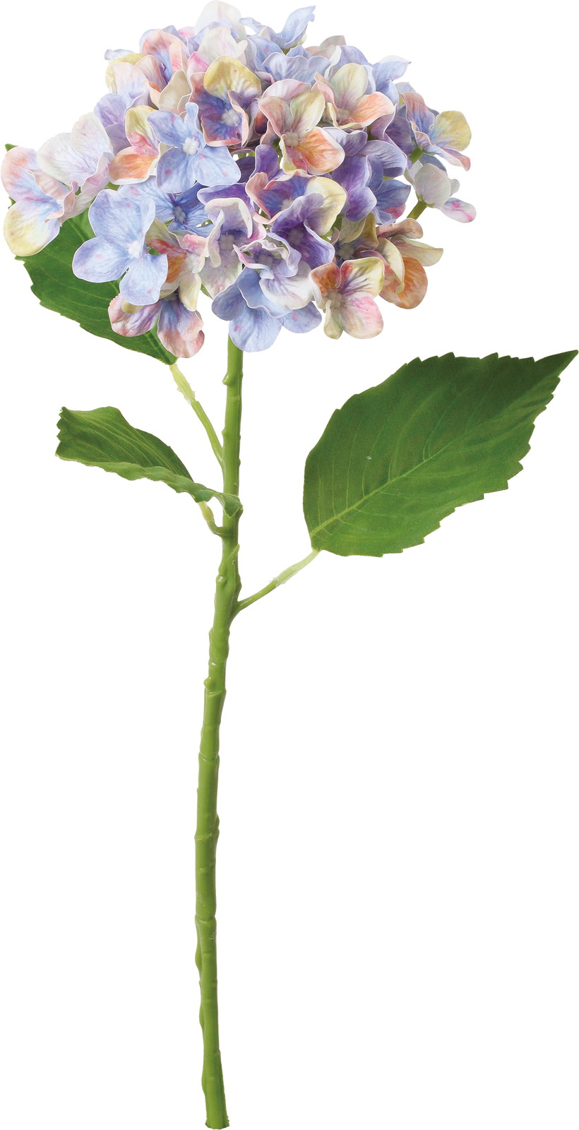 パステルミックスハイドレンジア