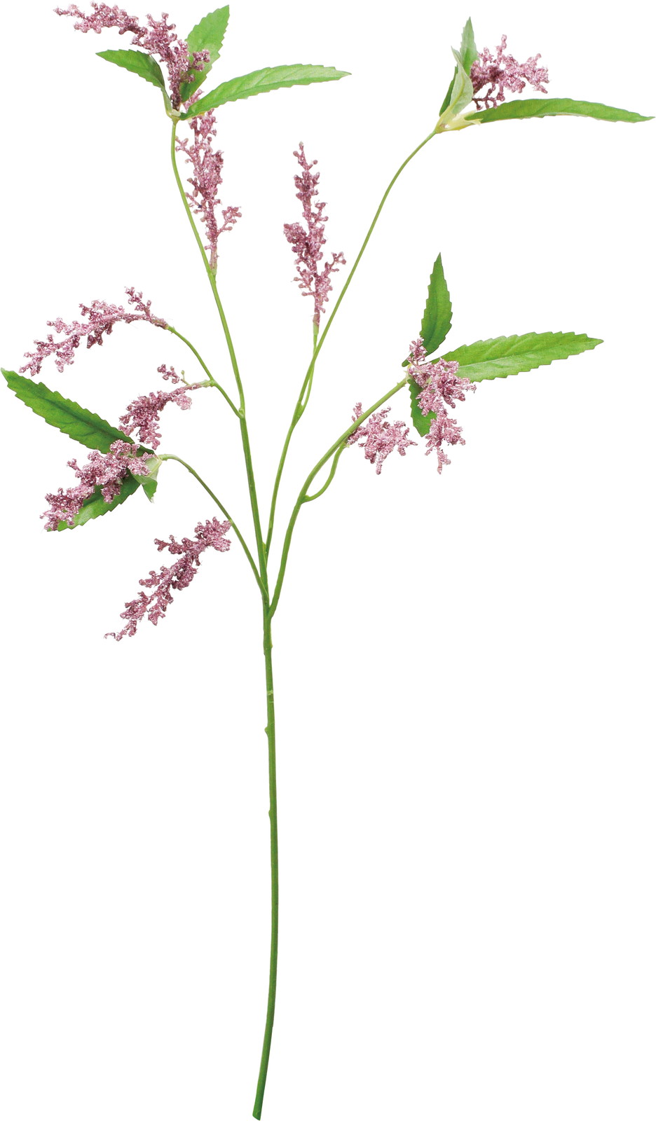 ���ƶ���ڰ