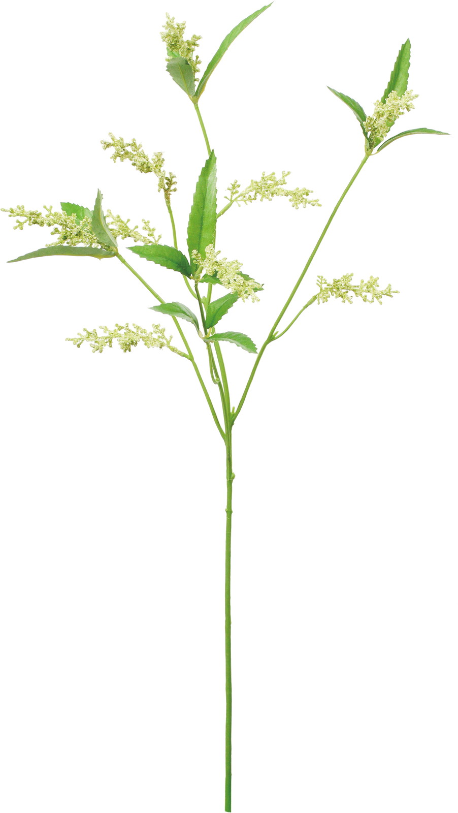 ���ƶ���ڰ