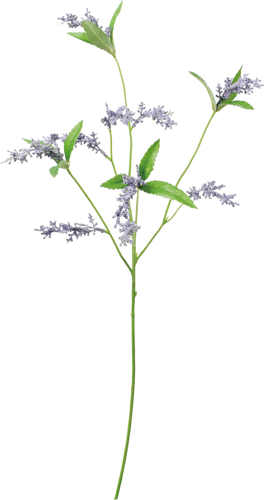 ���ƶ���ڰ