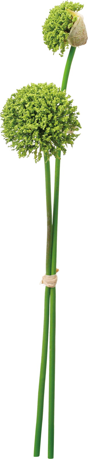 �޶�ݼ޳�������