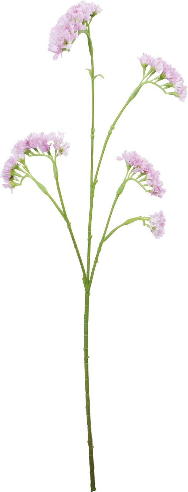 ������Ǳ��