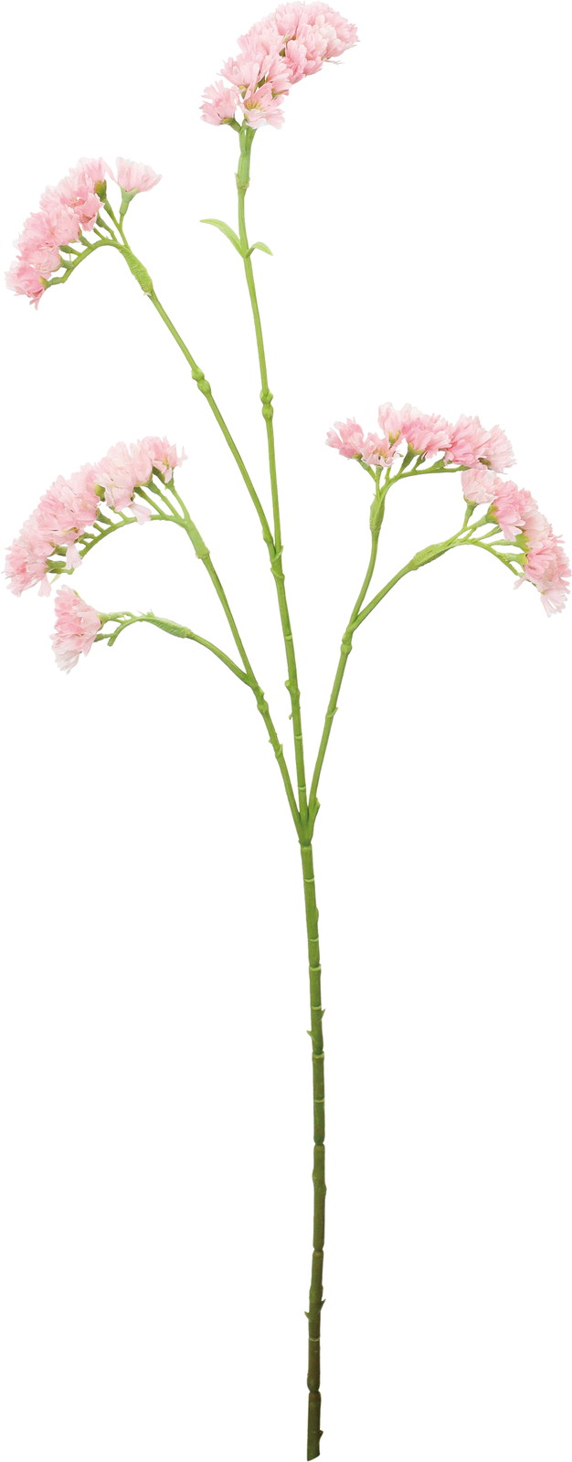 ������Ǳ��