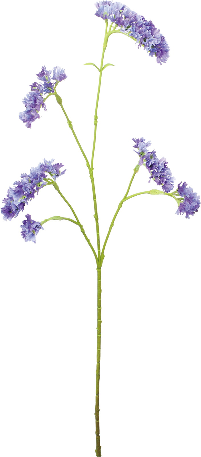 ������Ǳ��