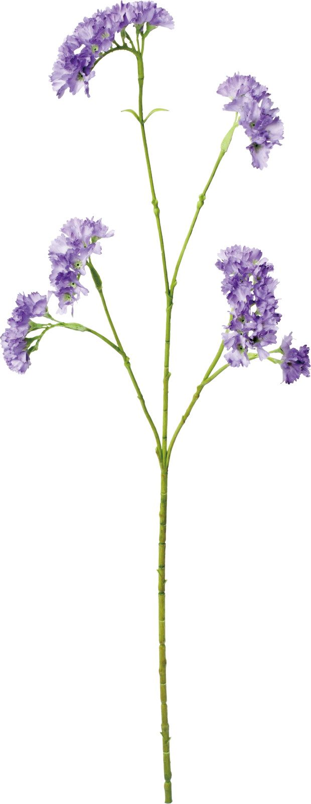 ������Ǳ��