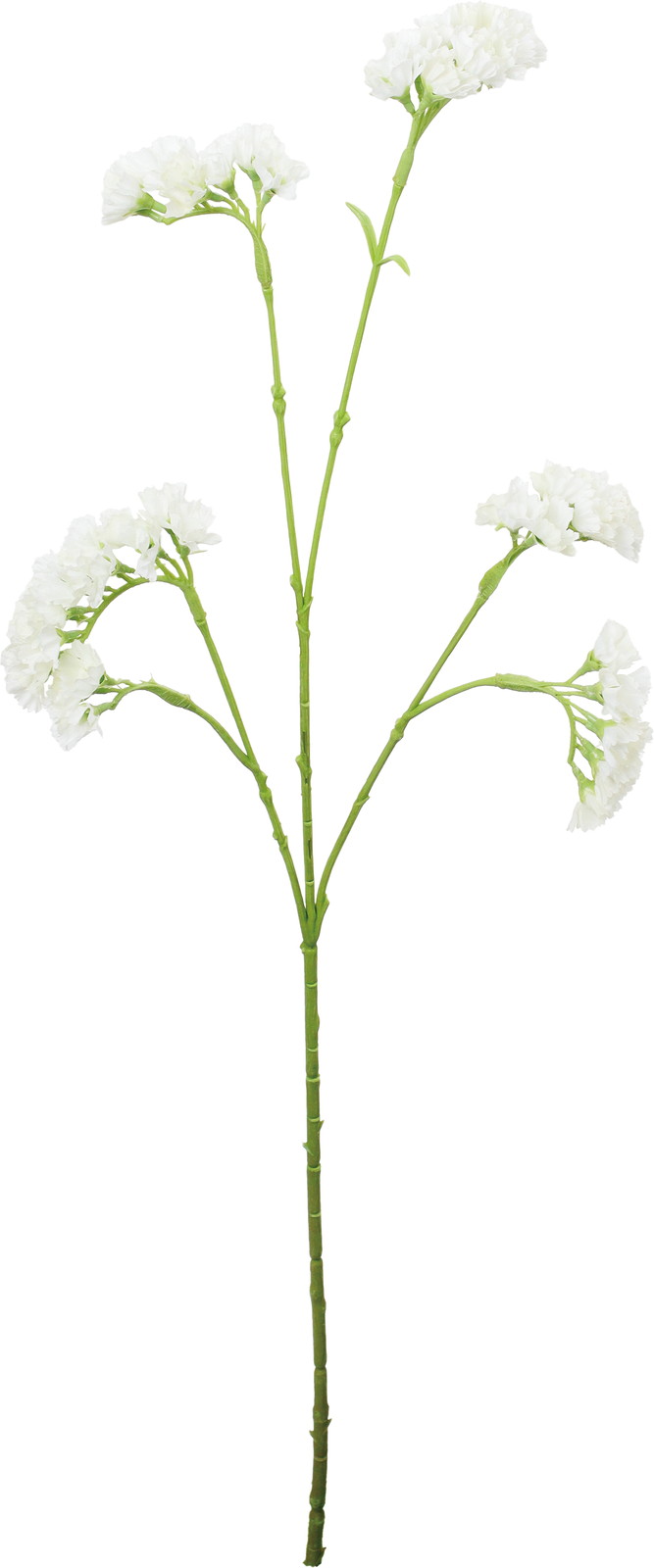 ������Ǳ��