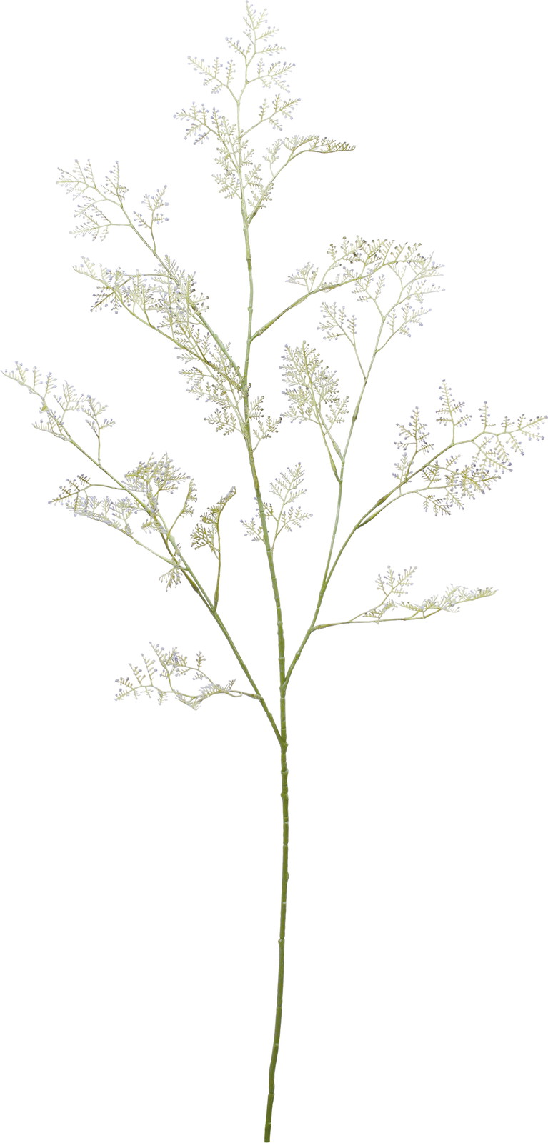 ��Ƴ������