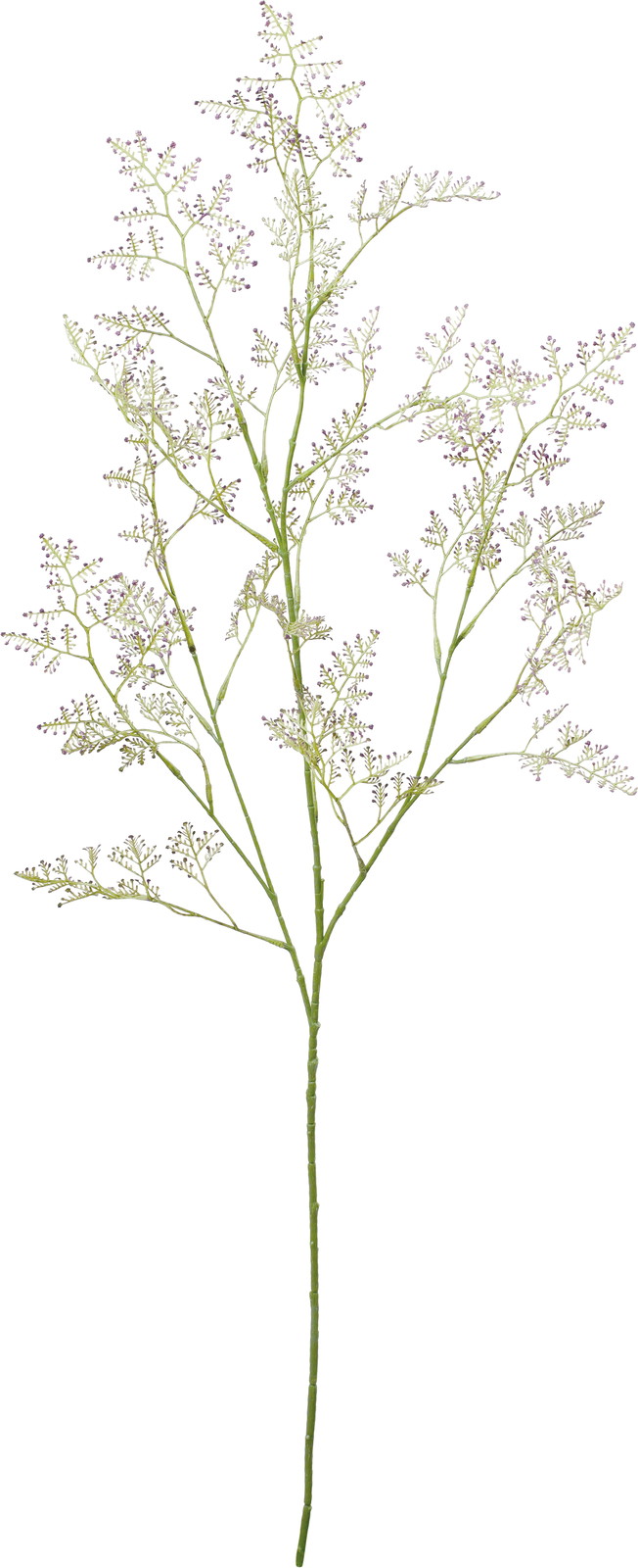 ��Ƴ������