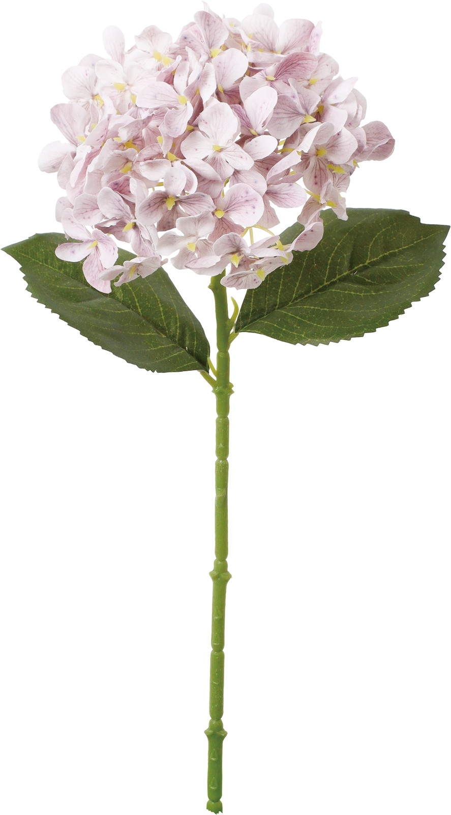 �گ��ʲ���ݼޱ