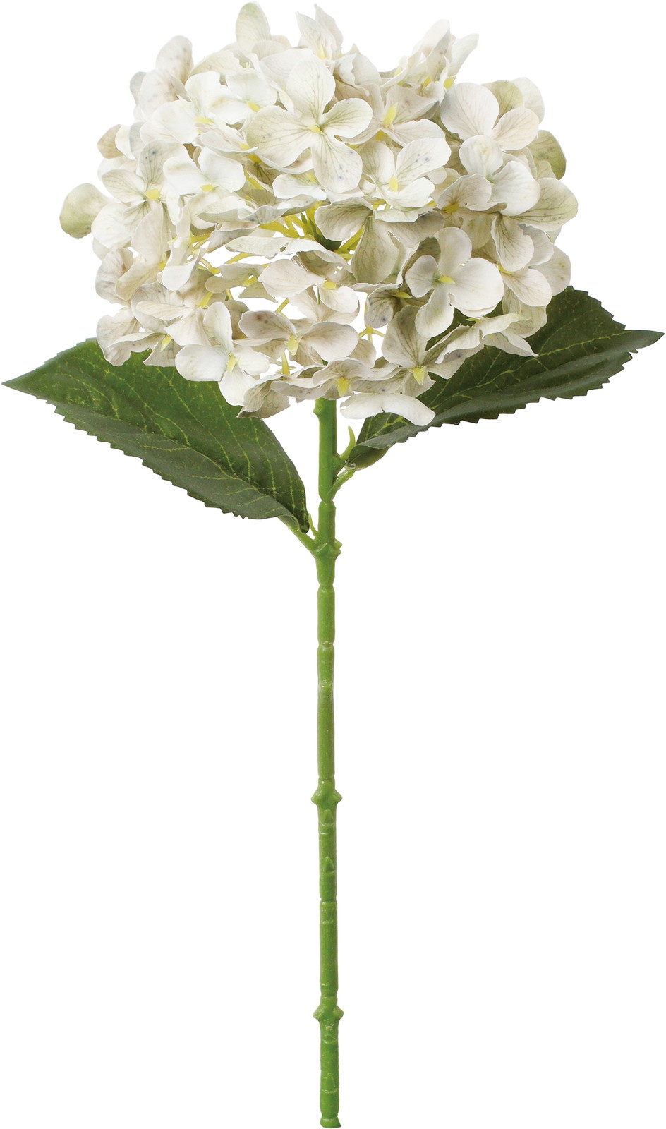 �گ��ʲ���ݼޱ