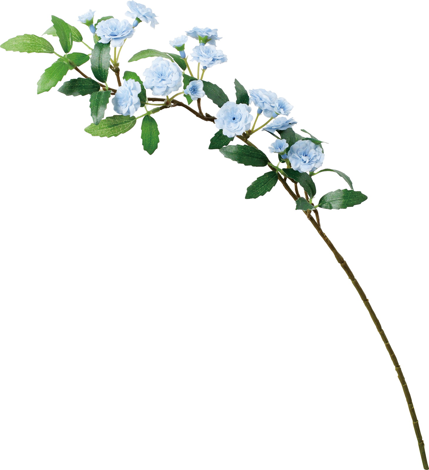 ӯ����׽��ڰ